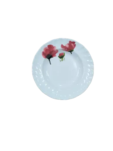 AS027-10 Assiette Ronde Platée Colorée